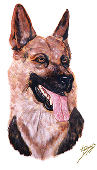 Good Dog! German Shepherd