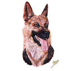 Good Dog! German Shepherd