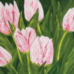 My Favorite Pink Tulip