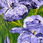 Purple Iris
