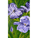 Purple Iris